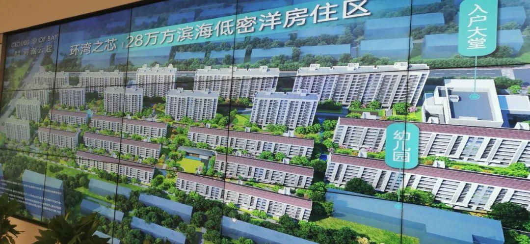 安家最新一期揭秘，小巷中的特色小店，惊喜连连！