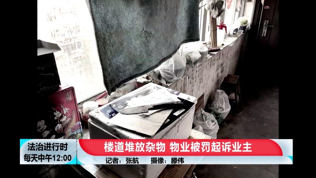 物业公司最新通知,小巷深处的独特发现与更新动态