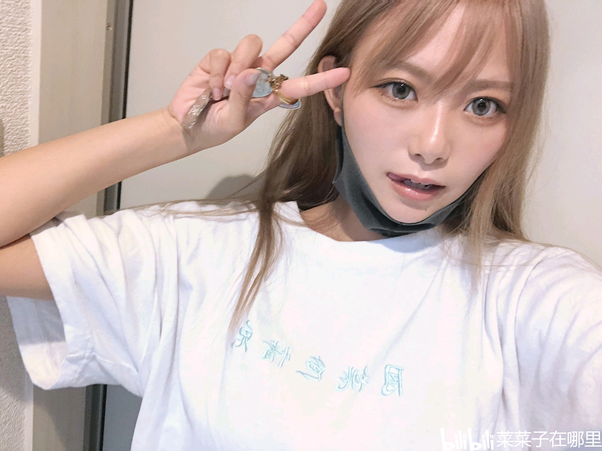 荣乌高速公路新线 第258页