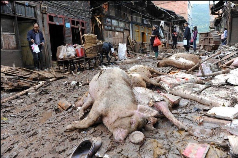 达州洪水最新动态，洪水进展与小巷风情小店的独特故事