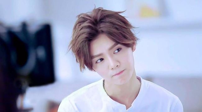 鹿晗奔跑吧兄弟最新动态与小巷独特小店的魅力对决