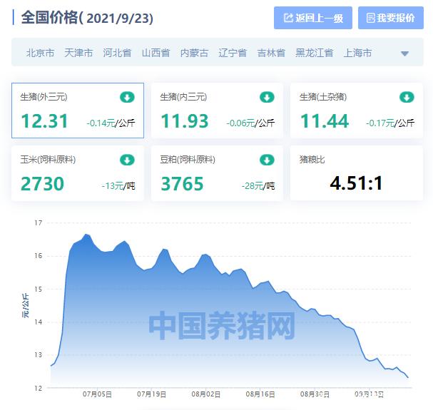 今日猪价最新价格概览，科技引领智能养猪新体验
