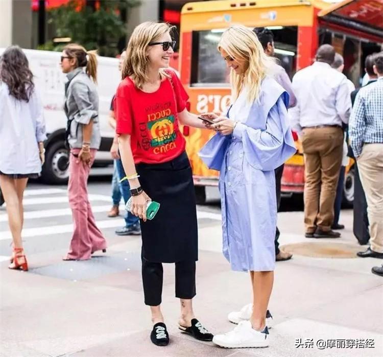 小草最新app破解版,小草最新app破解版，探索与反思