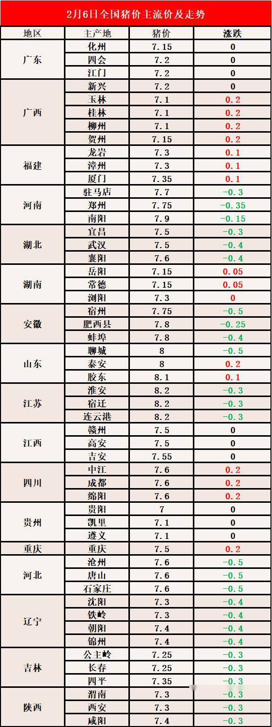 广东猪肉最新价格今日更新，友情、家庭与日常趣事探讨