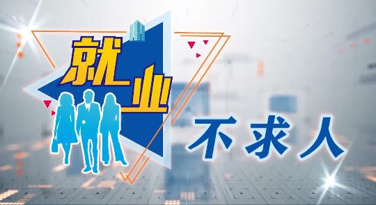 灯塔市最新招工信息,职业发展的理想选择,灯塔市招工火热进行中