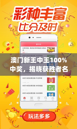 新澳门王中王100%期期中,专业解读评估_体验版92.492