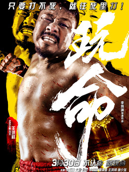 小巷深处的特色小店探秘——玩命演员表揭秘