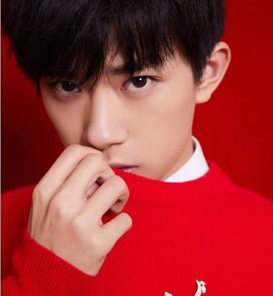 春节明星如何成为焦点人物的步骤指南