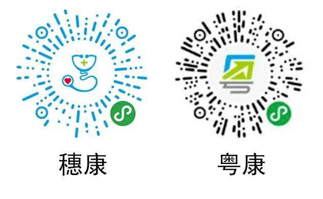 穗康资讯发展脉络及其深远影响探究