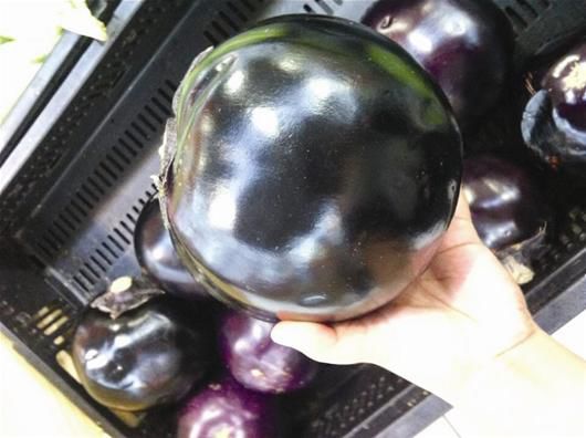 圆茄子行情深度解析，市场走势、种植前景与消费趋势全方位分析