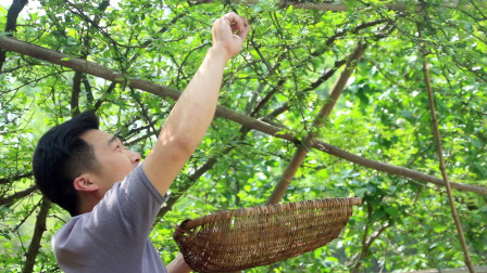 福安今日最新资讯速递