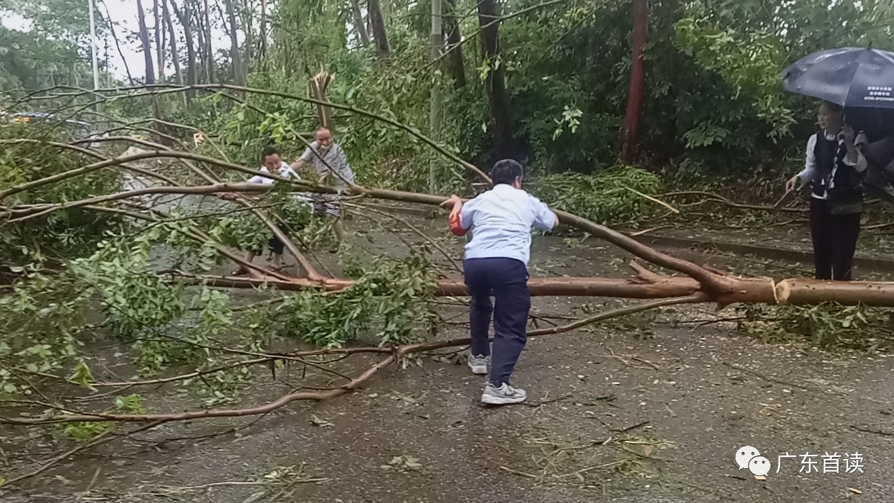 2017深圳台风最新动态