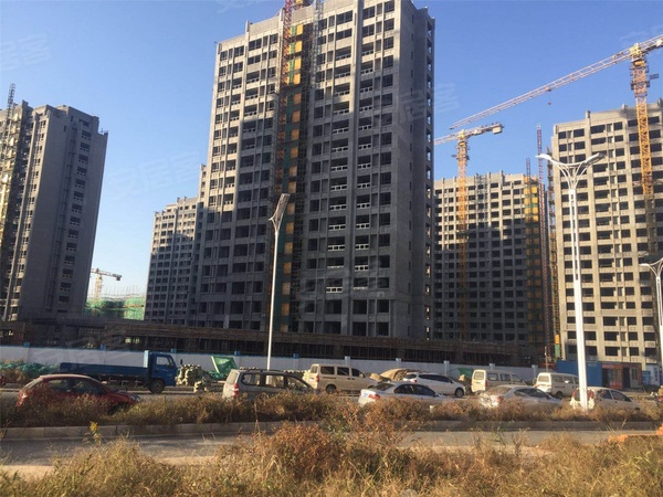 葛塘紫艺华府最新动态与资讯速递