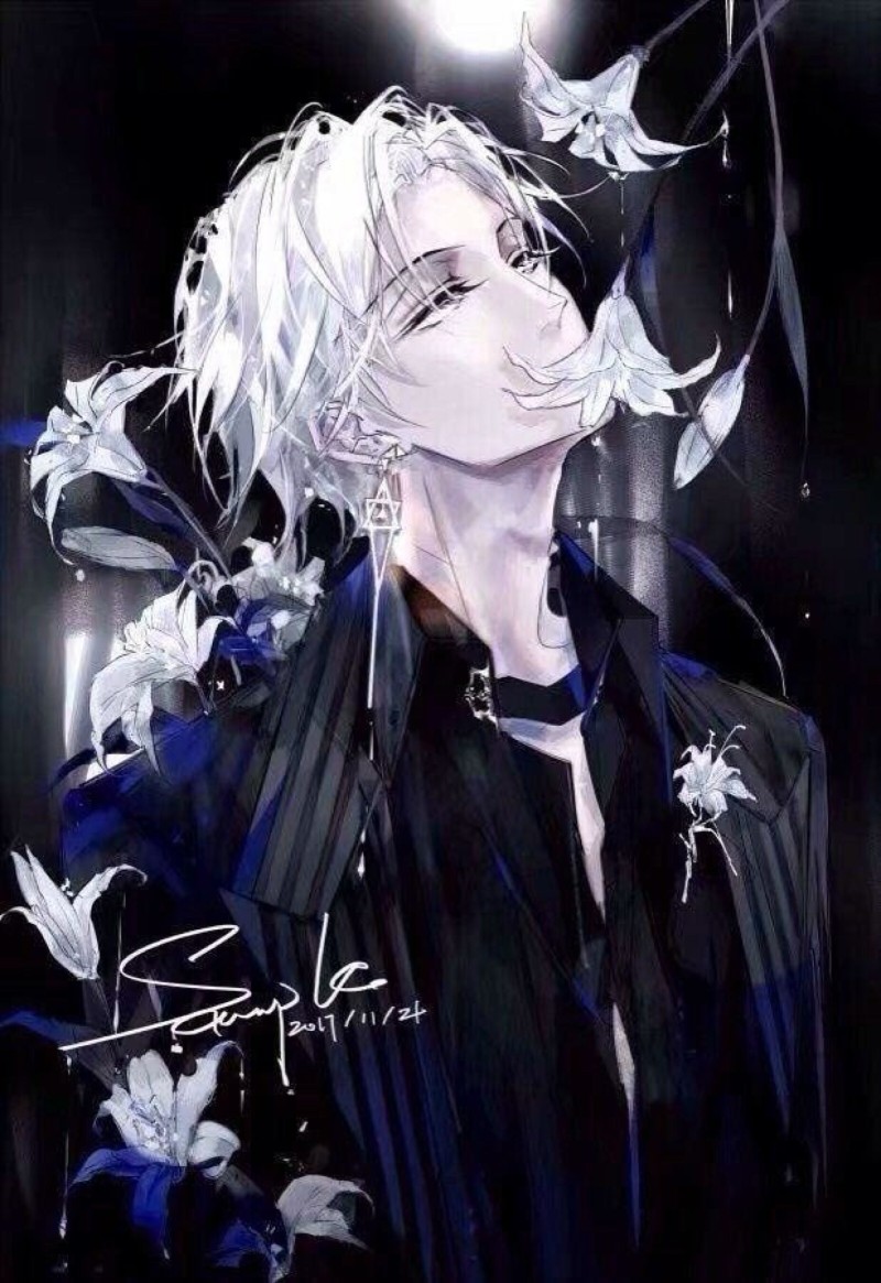 动漫酷图片，极致视觉盛宴的探索