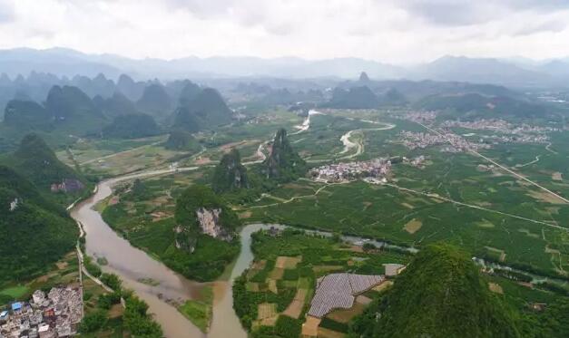 荔浦沙糖桔最新动态，小巷中的甜蜜果实揭秘