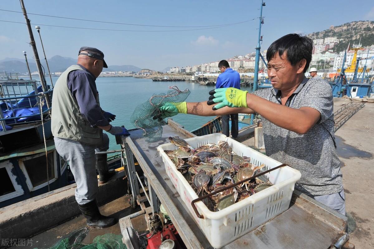 大闸蟹行情网，小巷深处的蟹香秘境探索