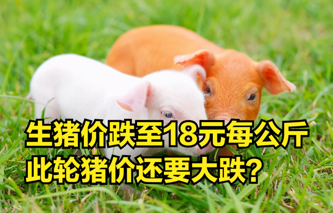 公路管理与养护 第149页