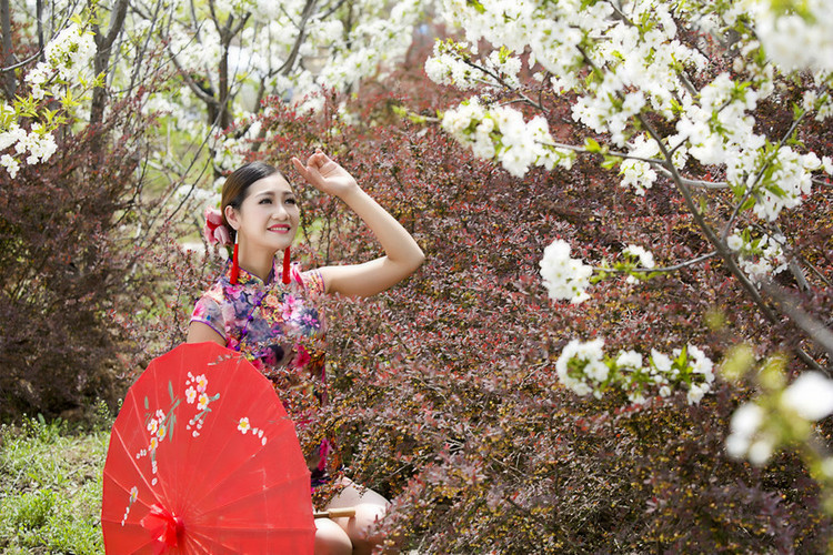 金玉娇妻最新章节梨花情