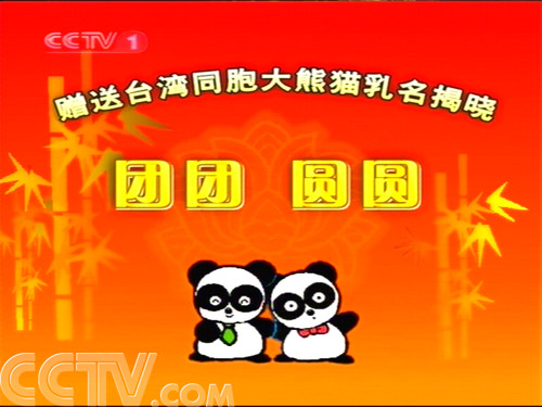 最新乳名揭晓，时尚、文化与传统的交融交融之风采