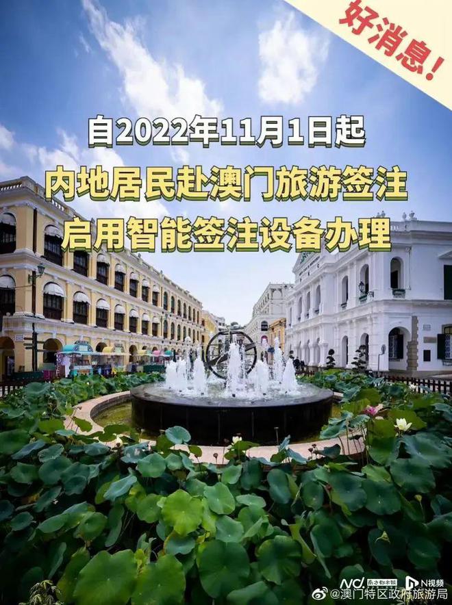 澳门最新资讯,澳门最新资讯，温馨日常的奇妙旅程