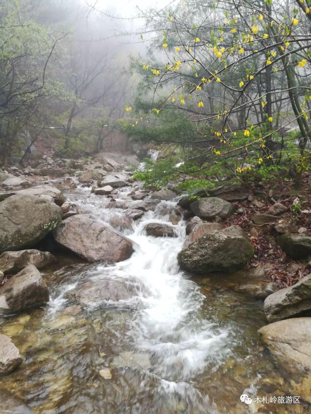 嵩县吧最新动态