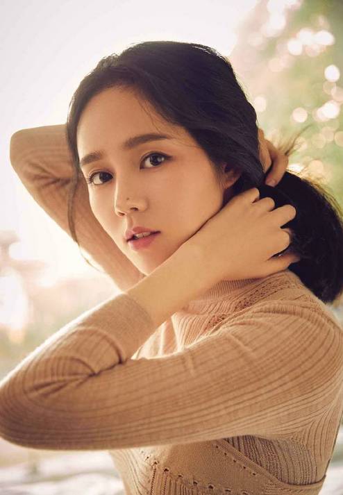 韩国电影明星成功背后的多元因素探析