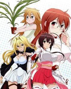 邻家小鹡的日常趣事，类似鹡鸰女神的温馨动漫之旅