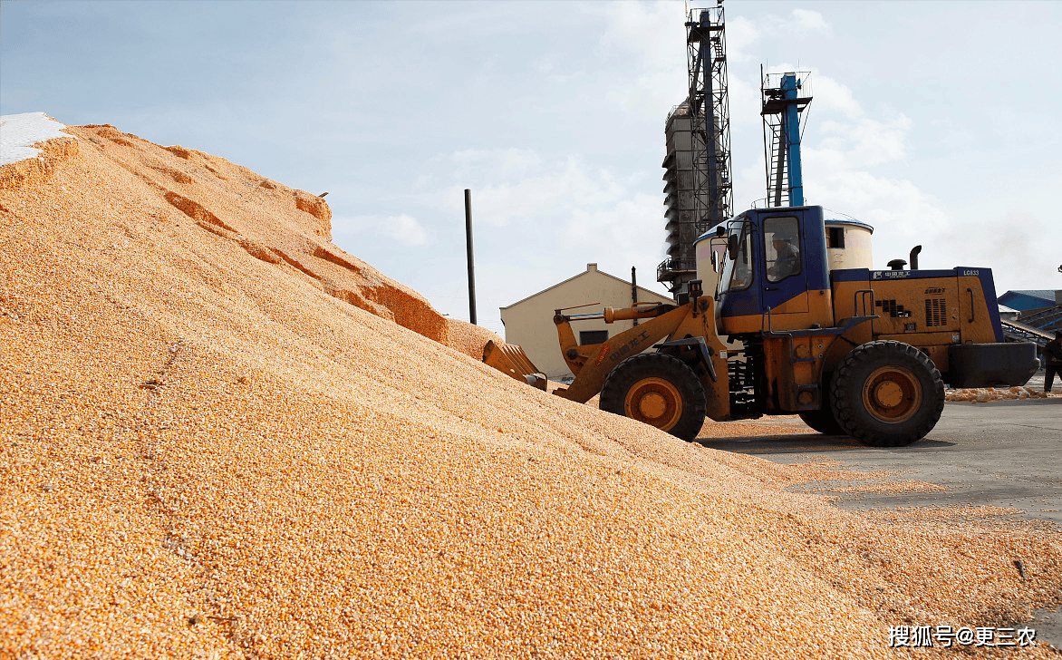 粮食市场最新资讯获取与分析指南