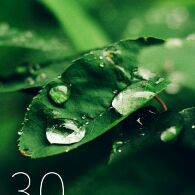 九阳帝尊最新篇章，传奇继续，荣耀续写之路