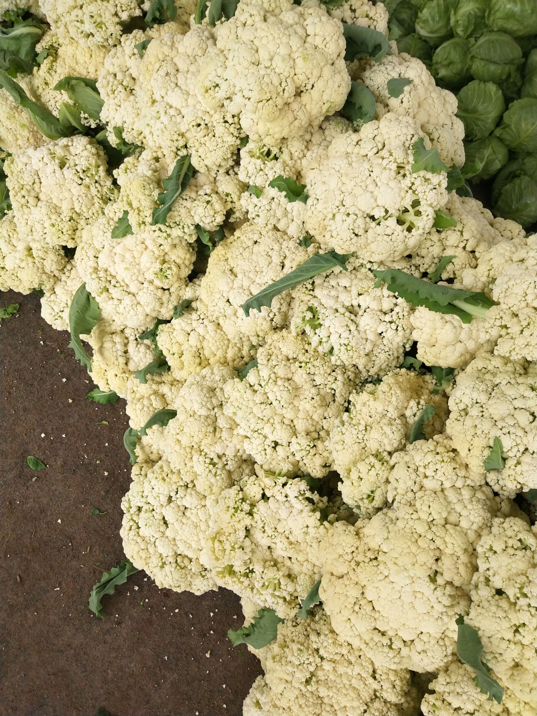 公路管理与养护 第112页