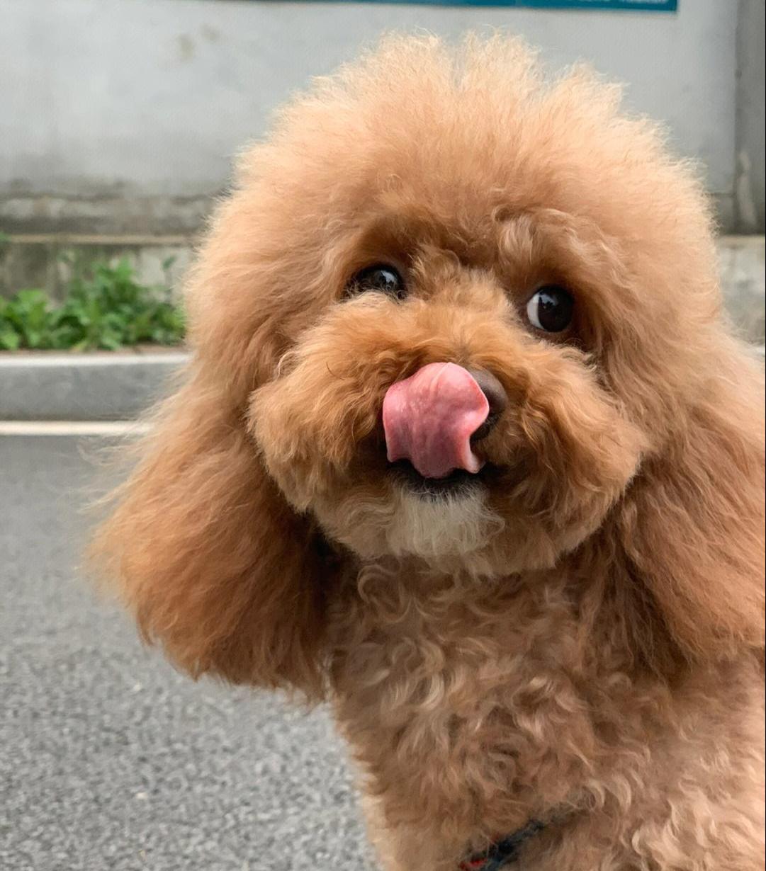 探索自然美景的治愈之旅，最新最臭探险启程