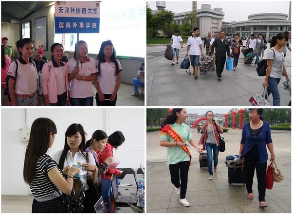 刘玥最新动态，多元视角下的观察与深度解读