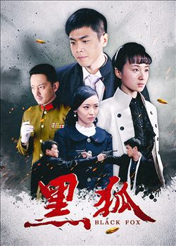 黑狐演员表名单，揭秘星光璀璨的小巷演员阵容