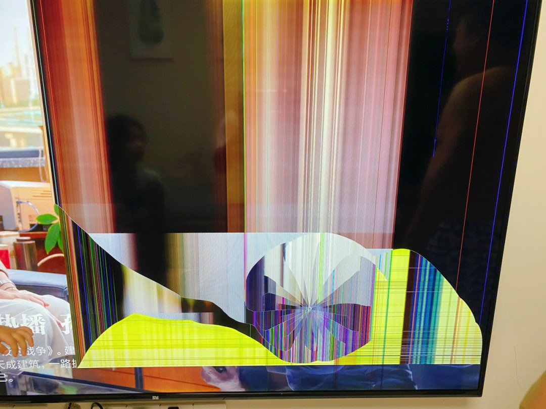 电视屏碎裂引发转机，踏上自然之旅