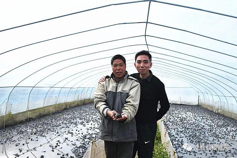 最新牛蛙市场价格，跃升机会与挑战——力量与自信的源泉