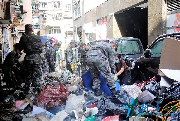 最新台风天鸽与天茄动态及分析，多方观点探讨其影响