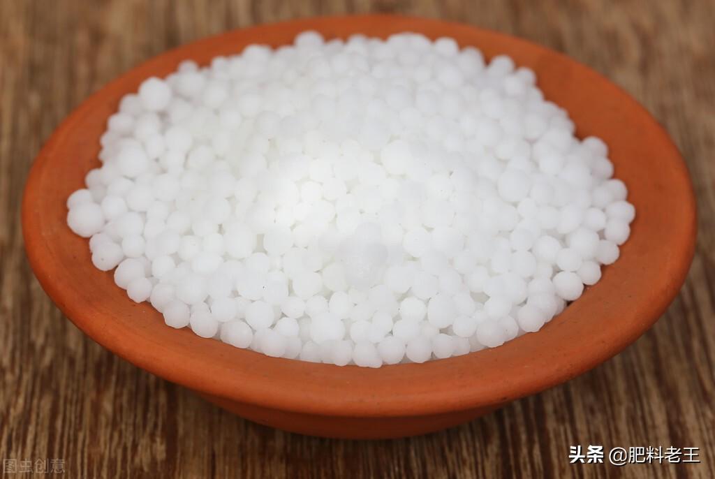 今日尿素价格行情深度解析,小巷特色小店背后的秘密与走势探讨