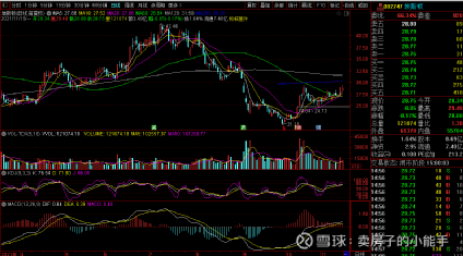 埃斯顿股票股吧，探索投资的无限潜力