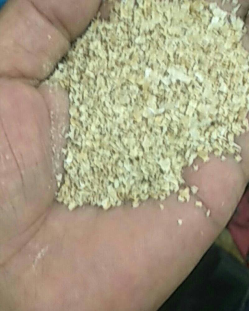 麸皮价格行情今日报价