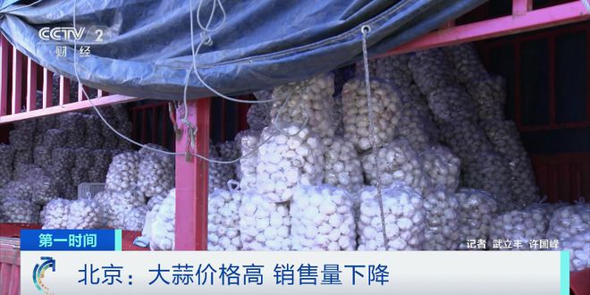 今日大蒜资讯，市场走势分析及其影响深度探讨