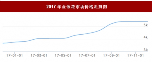 金银花行情走势深度解析,探寻变化中的机遇与自我超越之旅