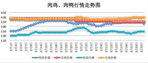 毛鸭行情预测,毛鸭行情预测——探寻小巷中的特色小鸭美食