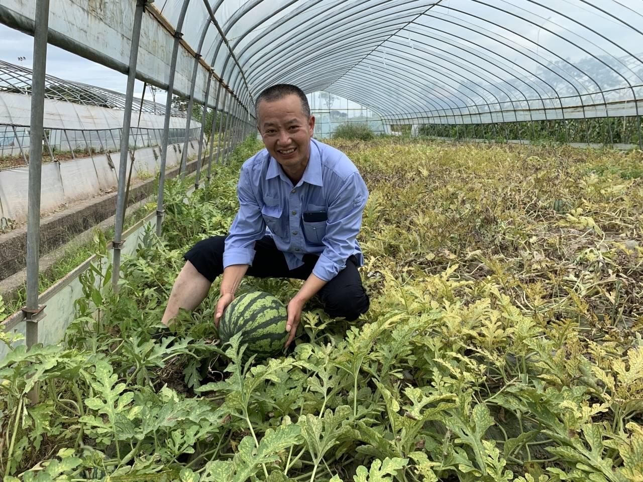 北仑上市公司一览，详细步骤指南及企业名单解析