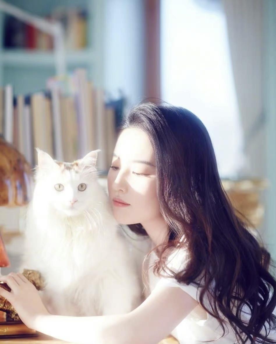 明星属性，心灵与自然的完美交融