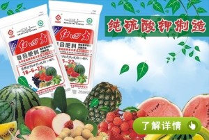 红四方复合肥最新价格,红四方复合肥最新价格，小巷中的秘密花园，探索一场别样的农资之旅！