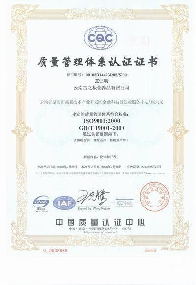 ISO9001质量管理体系标准最新版，背景、发展、影响与地位全面解析
