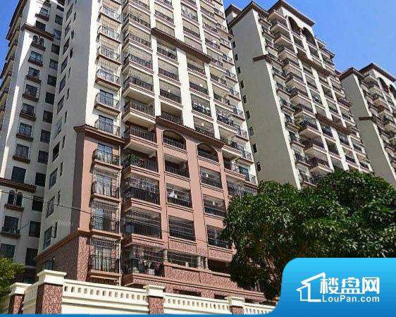 江门最新小区，变化中的家园，学习中的力量