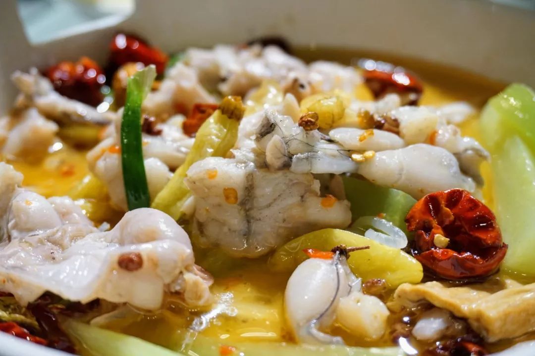 牛蛙最新动态更新