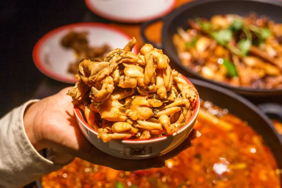 牛蛙最新动态更新