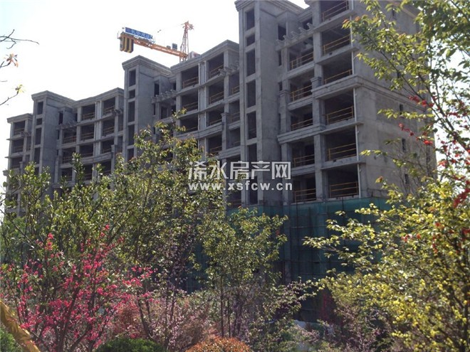 广水凤凰城最新动态,广水凤凰城最新动态，学习之光，成就未来